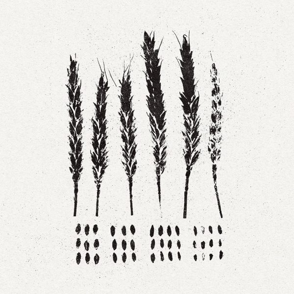 Lo!  The Gleaners  CD Discount